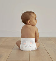 eco diapers