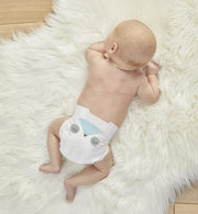 eco diapers