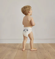 eco training pants